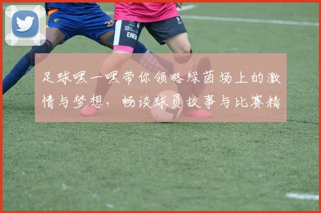 足球嘿一嘿带你领略绿茵场上的激情与梦想，畅谈球员故事与比赛精彩瞬间